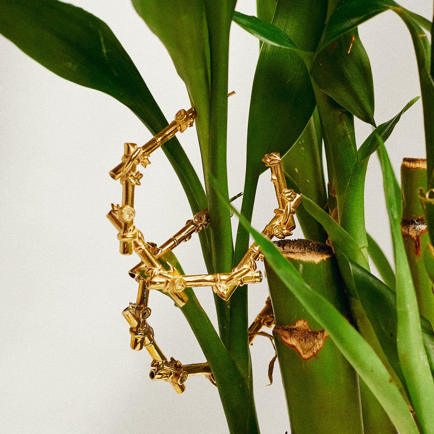 Rose Of Sharon Bamboo Hoops - Solid Gold-nunchi