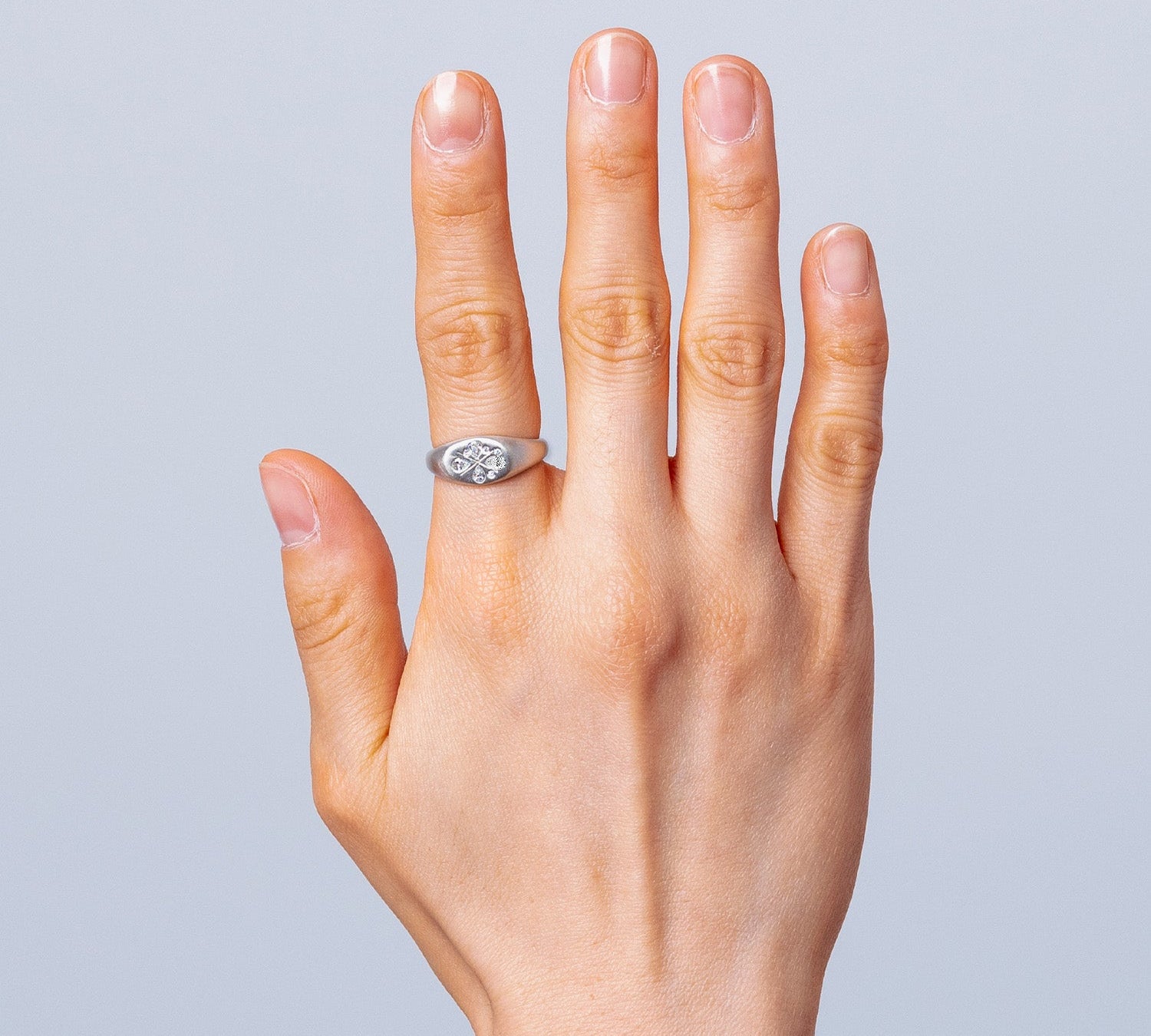 Watermelon Signet Ring - Silver-nunchi