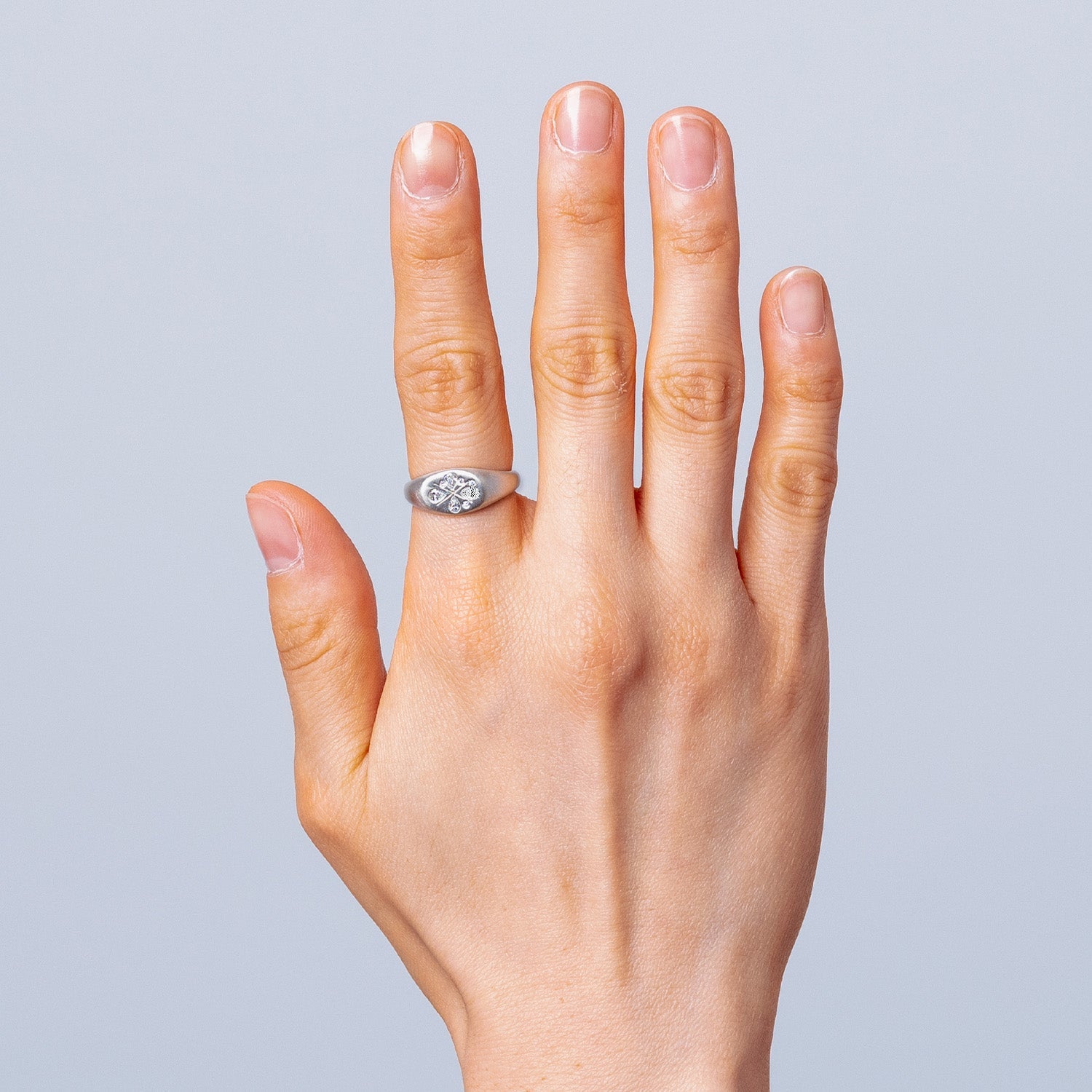 Watermelon Signet Ring - Silver-nunchi