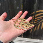 Monstera Keychain-nunchi
