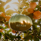 Persimmon GAM Necklace - Gold-nunchi