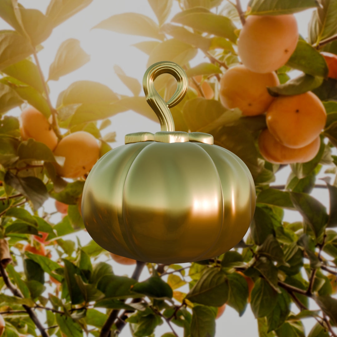 Persimmon GAM Necklace - Silver-nunchi