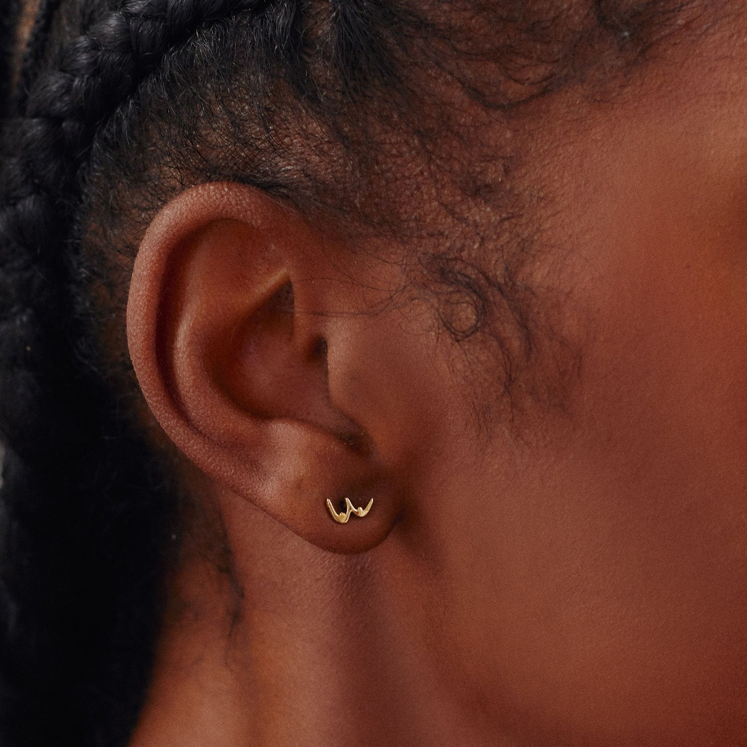 Colette Hoop Earrings in Silver